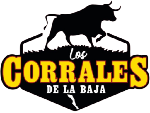 Logo PNG